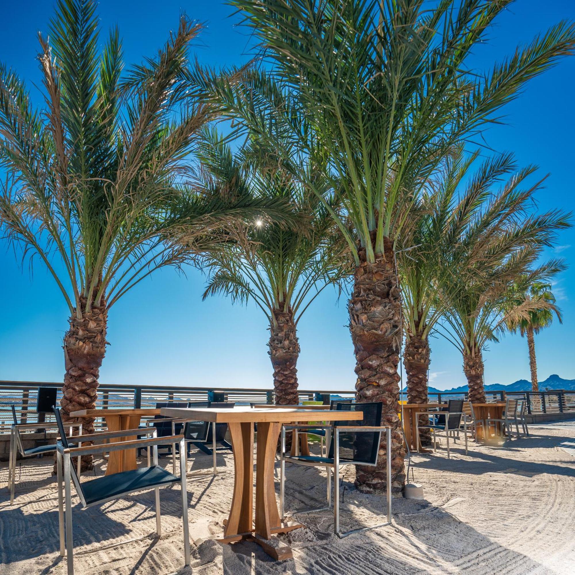 The Nautical Beachfront Resort Lake Havasu City Exterior photo
