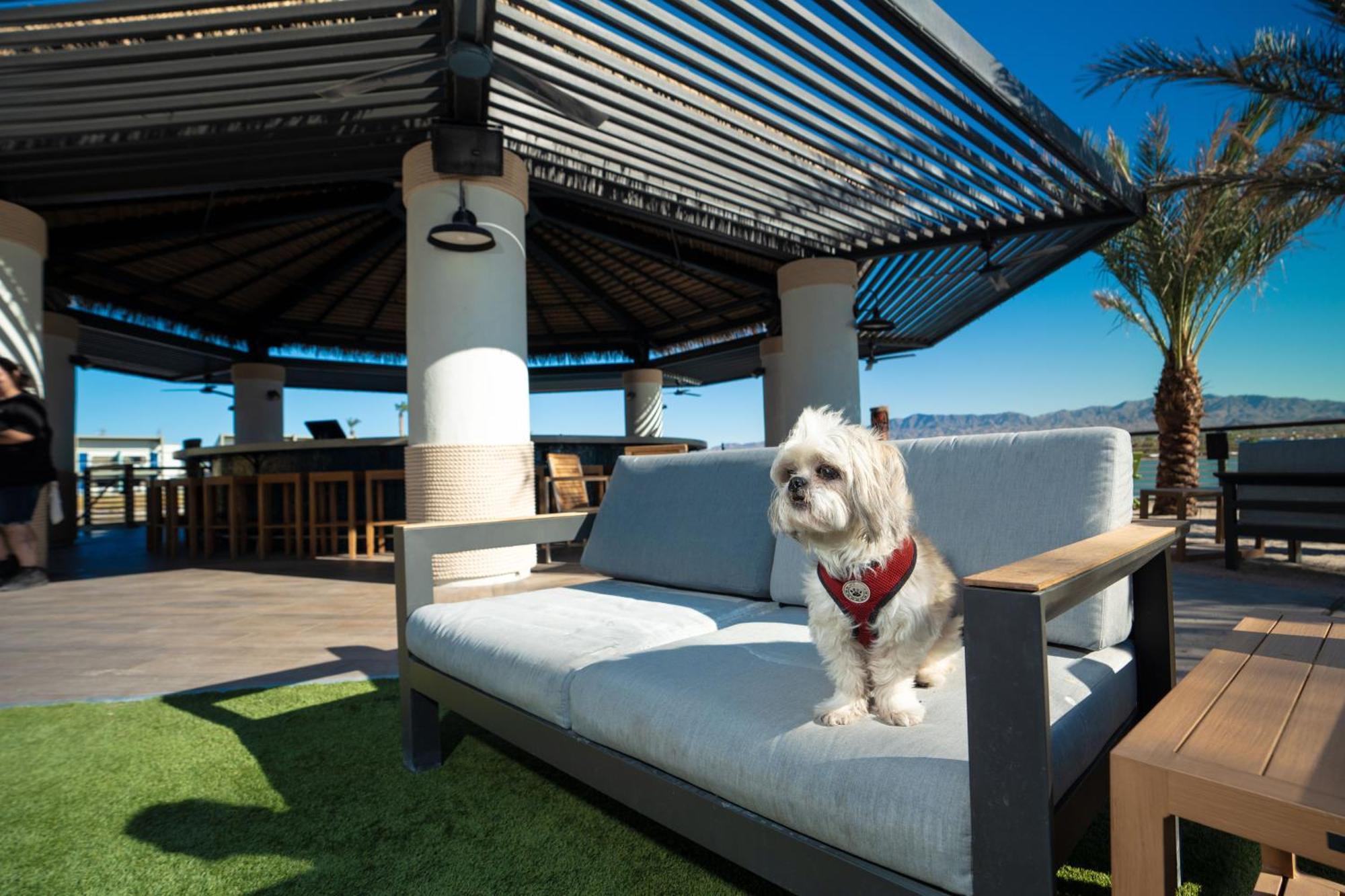 The Nautical Beachfront Resort Lake Havasu City Exterior photo
